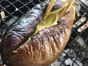 img_4617