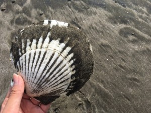 img_4772