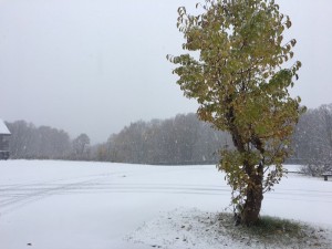 img_5425