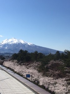 IMG_7809