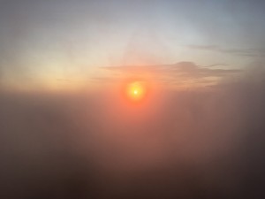 IMG_1541