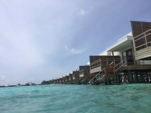 IMG_2171