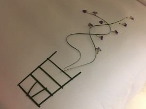 IMG_3101