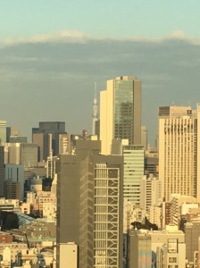 IMG_3439