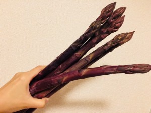 IMG_5905