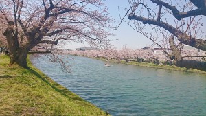 BeautyPlus_20180505200343_save