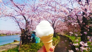 BeautyPlus_20180505203526_save