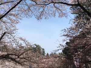 IMG_5877