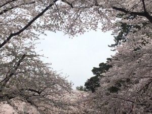 IMG_5946