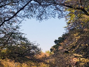 IMG_6039