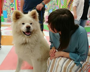 ããã