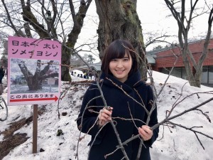 æ¡ã®æï¼ãå¤ï¼