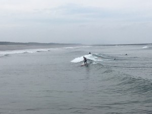 IMG_7216