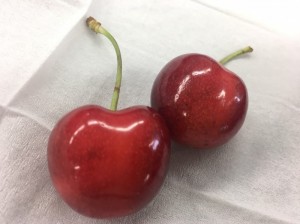 IMG_2520