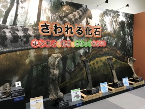 å¤§æç«å±ï¼