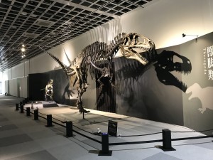 å¤§æç«å±ï¼