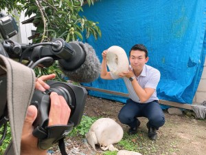 ãªããã¹ãï¼