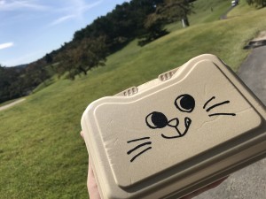 ãã¥ã¼è»½ç±³ï¼