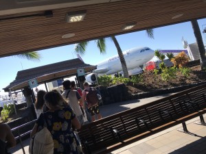 ã³ãããããã«ã«
