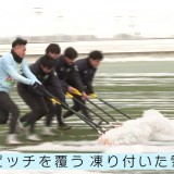 Ｊ3ヴァンラーレ八戸が始動　北国に課せられた「試練」に鹿児島から移籍の選手は戸惑い