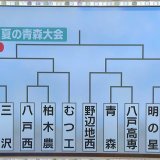 高校野球　夏の青森大会組み合わせ　各ブロックの注目校や選手は？