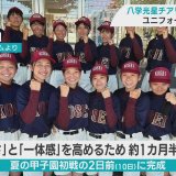 夏の甲子園　ベスト8進出の八戸学院光星　チアリーディング部がユニフォーム一新　思いを一つにエール