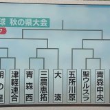 高校野球 秋の青森県大会　甲子園ベスト8の八戸学院光星は2回戦から登場　9月9日開幕