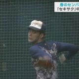 春のセンバツ　青森山田　本格派2枚看板「セキサクコンビ」中心に堅守でリードを守り切る