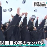 青森山田「春のセンバツ」出場決定　2年連続4回目　3季連続の甲子園