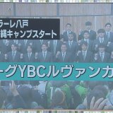 Jリーグ・ルヴァンカップ　J3ヴァンラーレ八戸　今季はJ1・新潟がやってくる