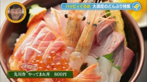 2013.11.09ぐるめ13