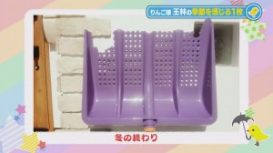 2015.03.14放送分　ファッション