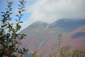 DSC_0718