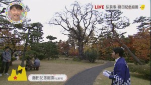 2015.11.07放送分　生中継