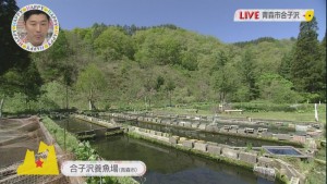 2016.05.14放送分　生中継