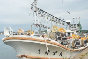 DSC_0107 (1)
