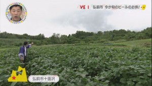 2016.09.10放送分　生中継