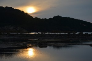 dsc_0676