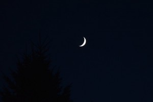 dsc_0961