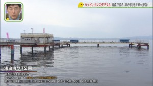 Still1102_00128