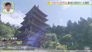 Still1003_00133