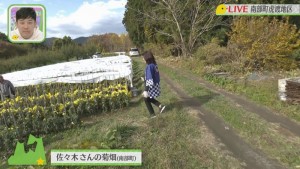 2020.11.07放送分　生中継