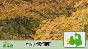 Still1121_00068