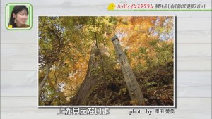 Still1205_00147