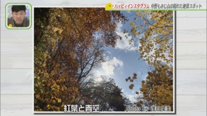 Still1205_00151