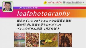 Still1205_00178