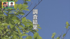 Still0605_00110