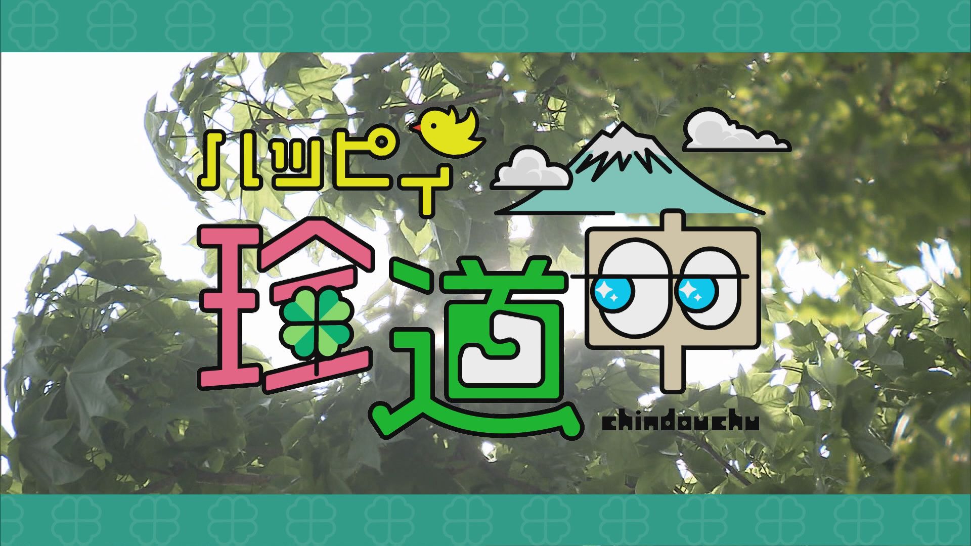 2025.05.31放送分　珍道中