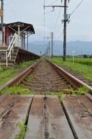 夏草の線路