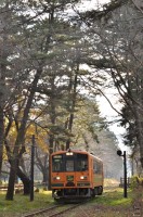 春には大勢のカメラマンでにぎわう桜のトンネル